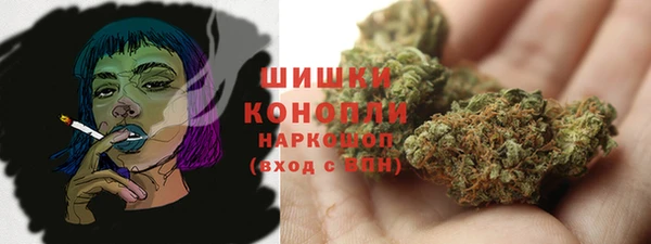 амф Козельск